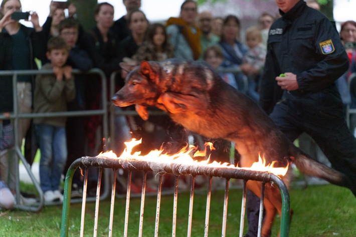 POL-F: 240506 - 0486 Frankfurt-Polizeipräsidium: Mehr als 6.000 Besucher im Kriminalmuseum bei der "Nacht der Museen"