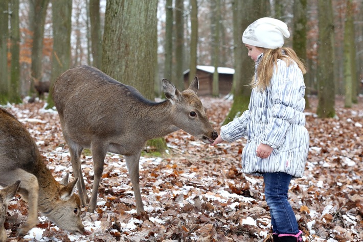 Weihnachtszeit im Wildparadies Tripsdrill