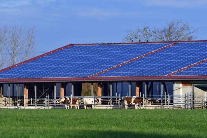 Smarte Energie für den ländlichen Raum