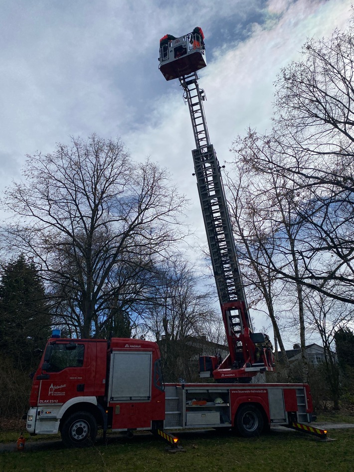 FW Helmstedt: Baum droht auf Haus zu fallen