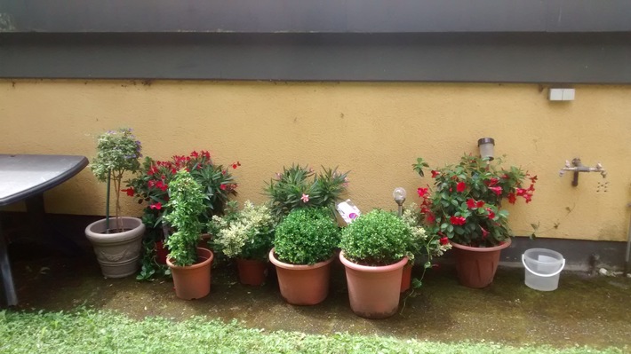 POL-PDKO: Gestohlene Blumen aufgefunden, Eigentümer werden gesucht