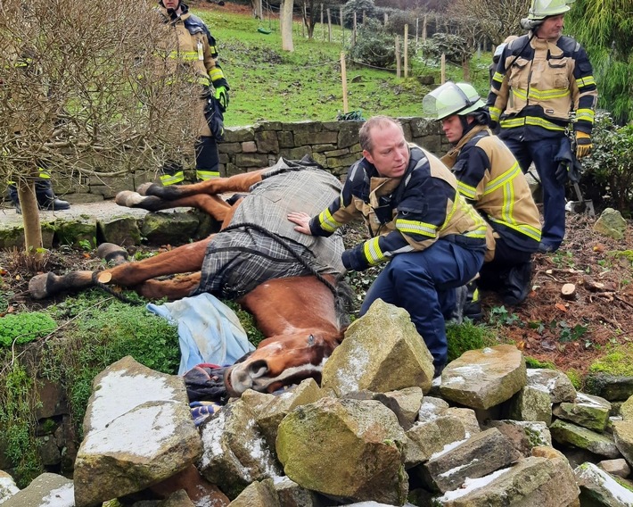 FW-E: Tier in Notlage - Feuerwehr hilft gestürztem Pferd wieder auf die Beine