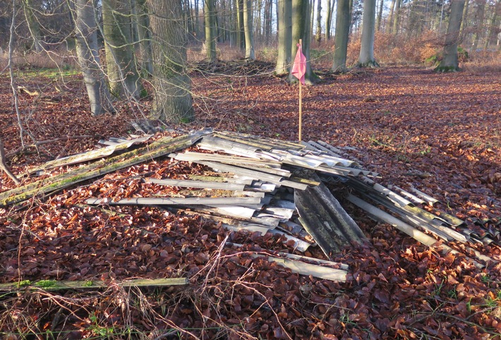 POL-DEL: Landkreis Oldenburg: Illegale Entsorgung von Asbestplatten in einem Harpstedter Waldstück