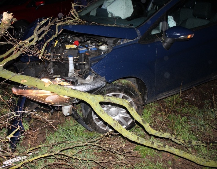 POL-MI: Reh ausgewichen - Auto kollidiert mit Baum