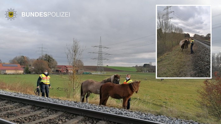 Bundespolizeidirektion München: Pferde auf Abwegen / Bundespolizei fasst flüchtige Islandponys