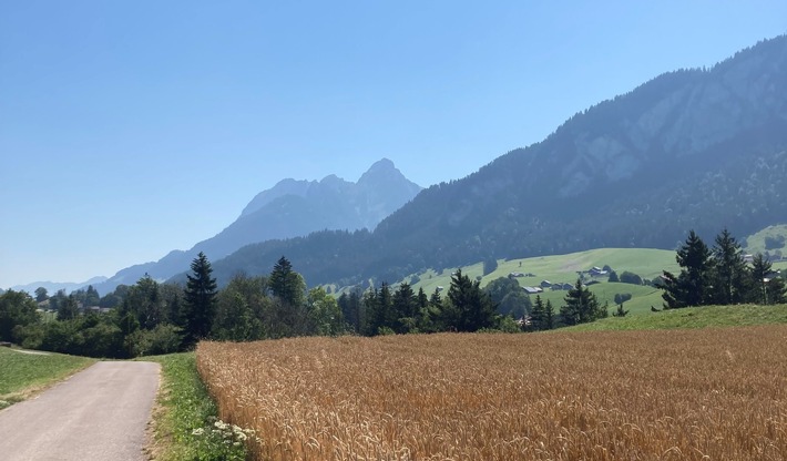 Die Schweizer Landwirtschaft 2023