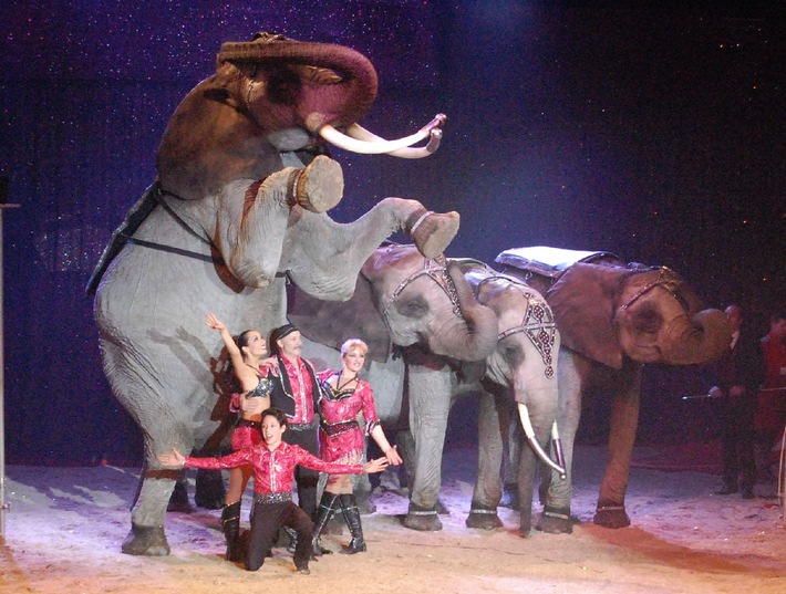 Aktionsbündnis sieht den traditionellen Circus mit Wildtieren weiter im Aufwind! (mit Bild)