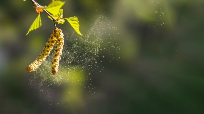 Heuschnupfen: Warum man die Allergie behandeln sollte