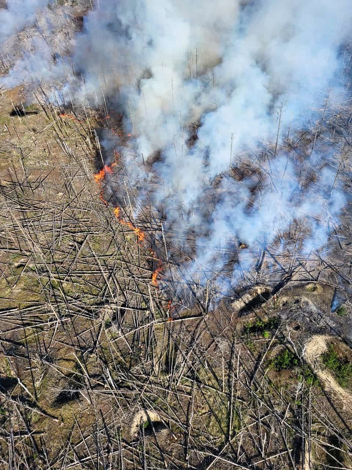 BPOLP Potsdam: Brandbekämpfung aus der Luft: Die Bundespolizei im Einsatz gegen den Waldbrand im Landkreis Teltow-Fläming