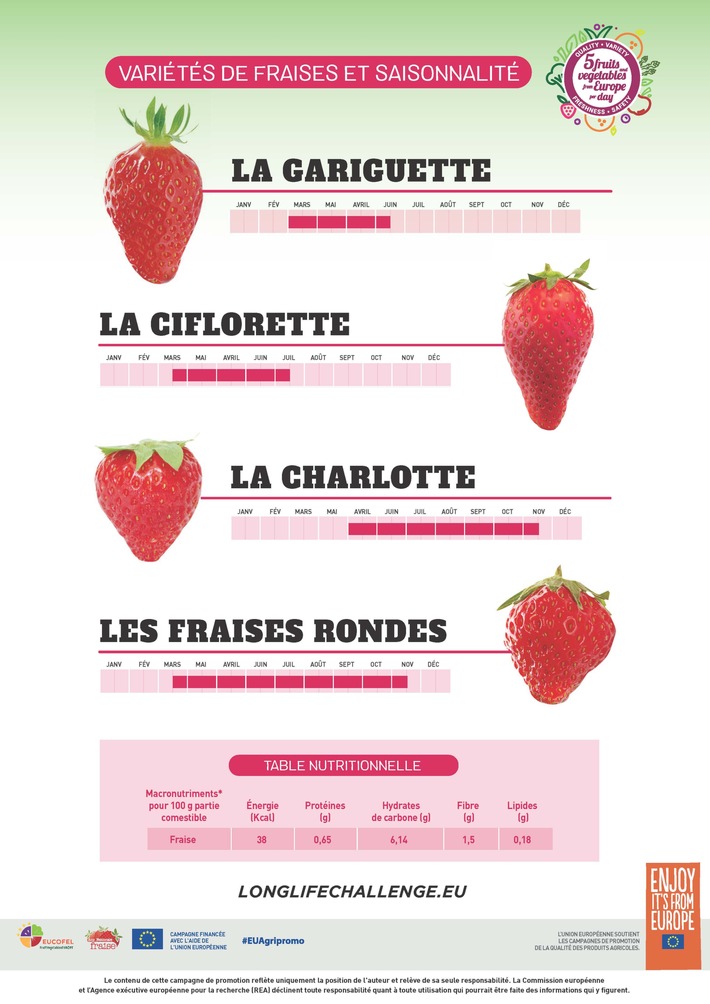 Toutes les fraises ne se ressemblent pas / Découvrez les variétés et trouvez celle que vous préférez