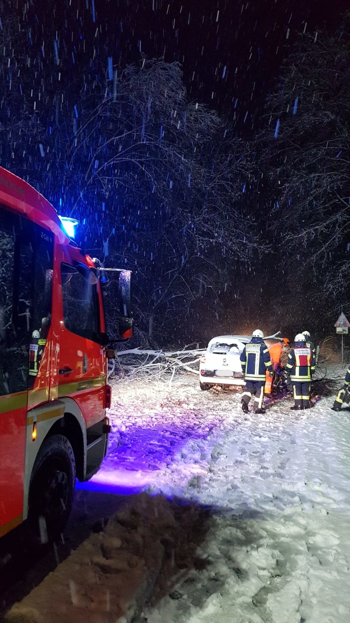 FW-MH: Wetterbedingte Einsätze durch Baum- und Astbruch