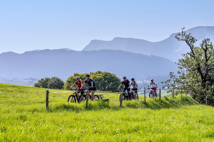 Das grüne Allgäu: Alles rund um den Naturgenuss