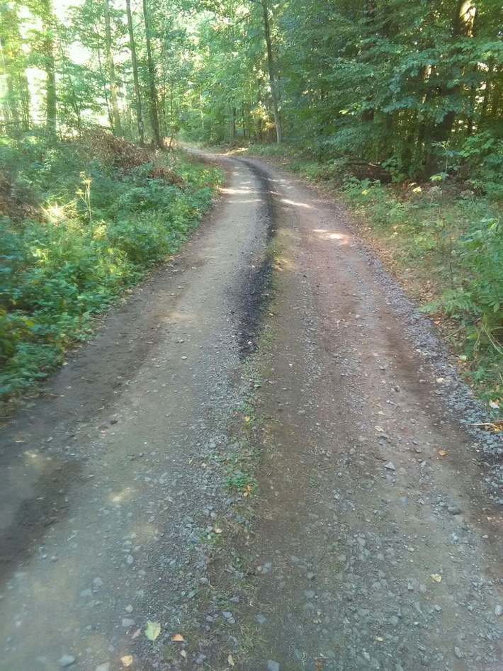 POL-PDPS: Zweibrücken - Ölspur Waldweg Staatswald Birkhausen