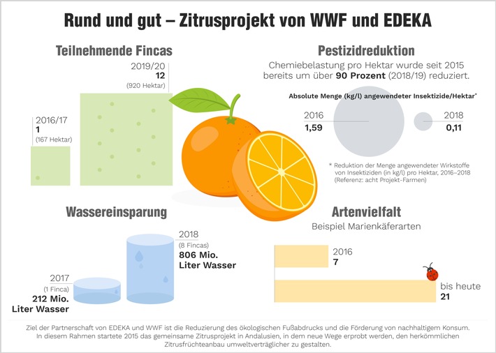 Punkte statt Pestizide / WWF und EDEKA weiten Projekt zum nachhaltigeren Orangenanbau aus