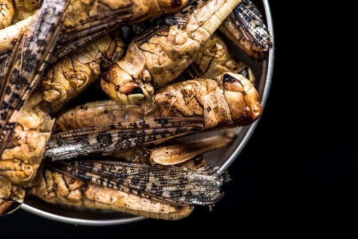 BLOGPOST Food-Trends: Algen-Croissants und gegrillte Insekten
