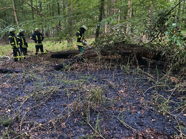 FF Goch: Wieder Feuer im Wald - 200 Quadratmeter Unterholz in Flammen