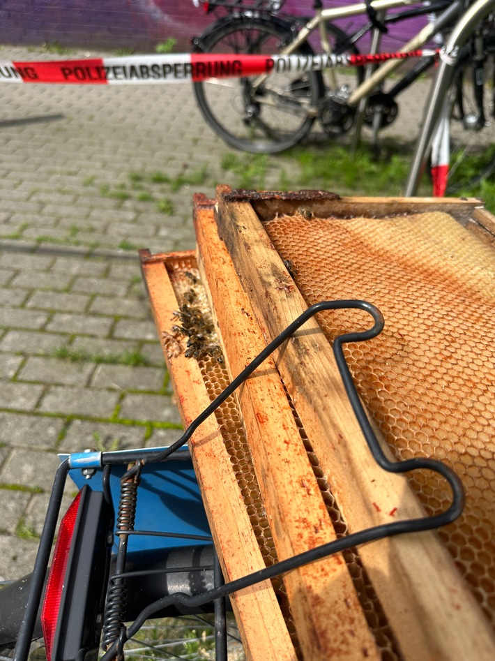 POL-OS: Osnabrück: Lose Bienenwaben im Stadtteil Wüste - Polizei bittet um Hinweise (mit Fotos)
