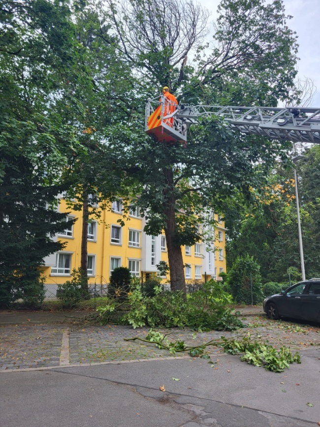 FW Hannover: Ast beschädigt parkende PKW