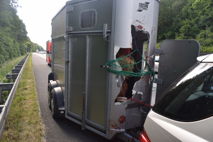 POL-HI: A7: Pferd zerstört eigenen Anhänger während voller Fahrt, verletzt sich schwer und muss eingeschläfert werden