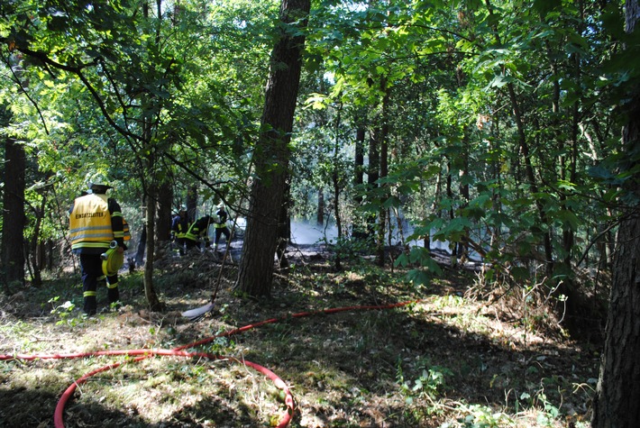 Schlauchleitungen kreuz und quer im Wald.