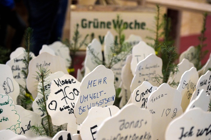 Grüne Woche 2018: Wald bewegt Kopf, Herz und Körper / Tolle Mitmachaktionen bei &quot;Multitalent Holz&quot; in Halle 4.2