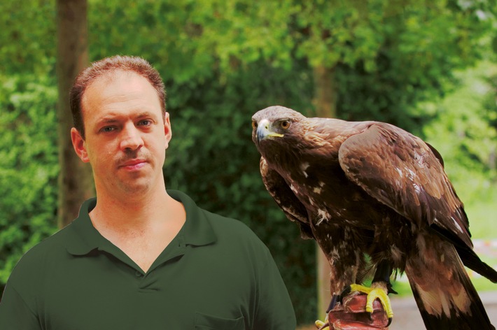 Flugschau mit Greifvögeln auf Schloss Wildegg