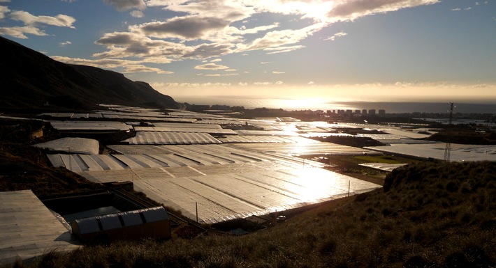 Solargewächshäuser bei Almeria-Foto von Belen Garre Lopéz.jpg