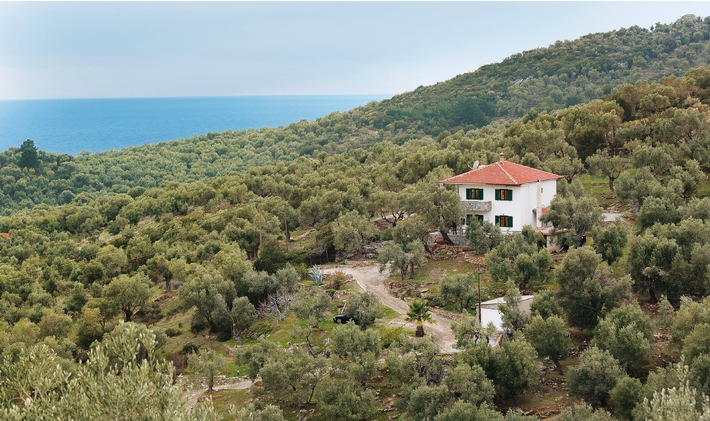 KORREKTUR(DATUM_FEHLTE): exklusive Pressevorstellung: Olivenöl aus viel zu frühen Oliven von Lesbos