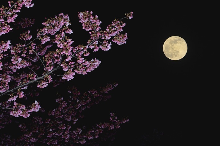 Das Osterparadoxon / Darum fällt der Ostertermin 2019 aus dem Rahmen: Der erste Frühlingsvollmond bestimmt den Ostertermin. Die Berechnung des Termins sorgt 2019 für Verwirrung.

Bildquelle: WetterOnline / Shutterstock (bei Verwendung unbedingt angeben)

Die Verwendung des Bildes ist ausschließlich im Zusammenhang mit dieser Pressemitteilung von WetterOnline gestattet! Weiterer Text über ots und www.presseportal.de/nr/12322