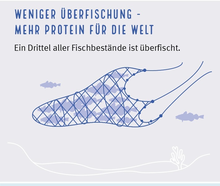 Weniger Überfischung - mehr zu essen. Mehr Fisch bis 2050? / Aktuelle Analyse zeigt: Überfischung der Meere kostet uns jährlich wertvolles Protein für 72 Mio. Menschen / Weiterer Text über ots und www.presseportal.de/nr/102624 / Die Verwendung dieses Bildes ist für redaktionelle Zwecke unter Beachtung ggf. genannter Nutzungsbedingungen honorarfrei. Veröffentlichung bitte mit Bildrechte-Hinweis.