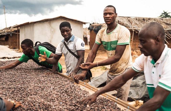 Ausgerechnet im Advent: Einkommen der Kakaobauernfamilien sinken dramatisch