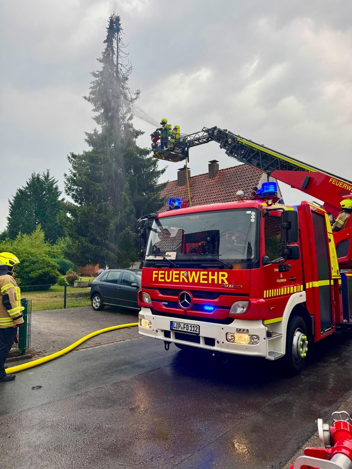 FW-DT: Brennende Tanne nach Blitzeinschlag