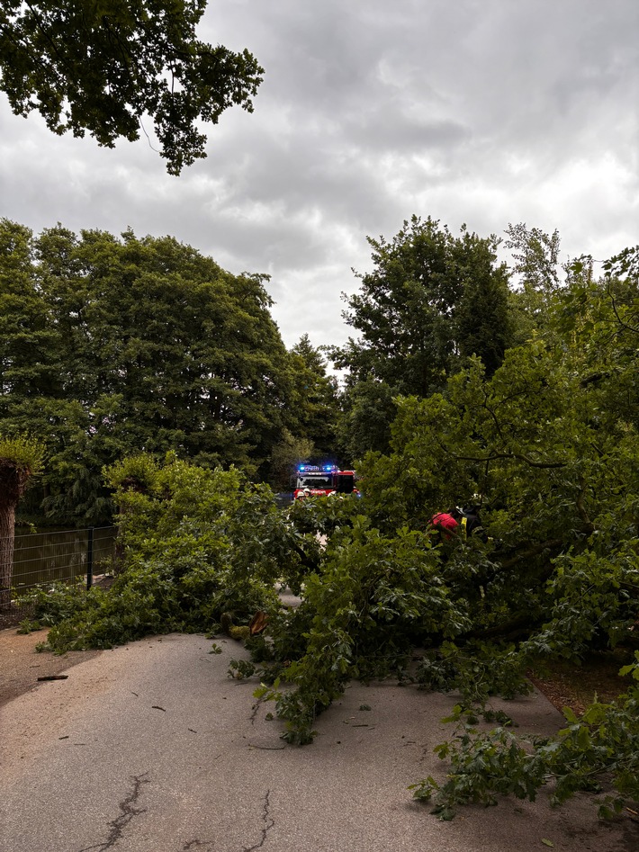FW-Schermbeck: Umgestürzter Baum