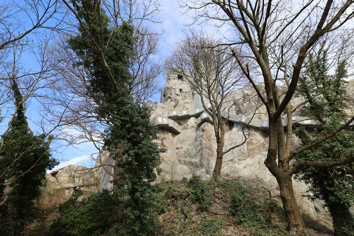 Gemeinsame Presseinformation Bezirksregierung Köln und BLB NRW: Drachenfels als Ausflugsziel für Jahrzehnte gesichert