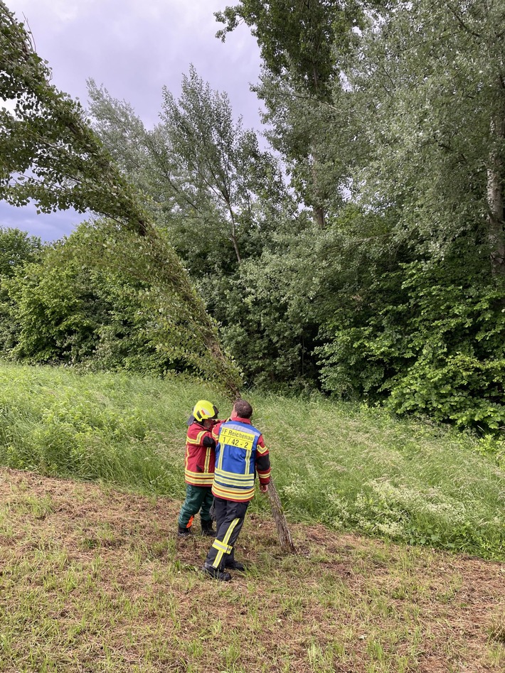 FW Reichenau: Baum droht auf Fahrbahn zu stürzen, Reichenauer Alleenstrasse L221 , 04.06.2025