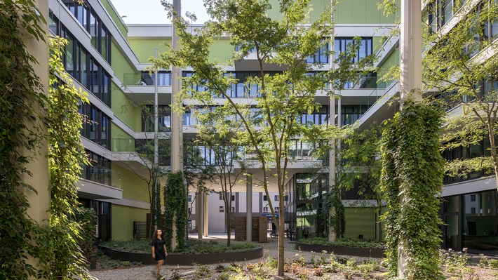 Arbeiten im Grünen: Hauser Healthcare wächst weiter und bezieht neues Büro im ATREEUM
