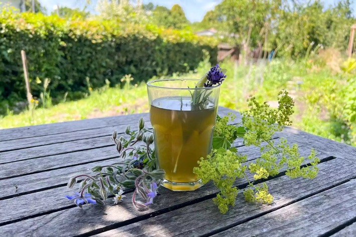 ++ Ökotipp: Kühle Limo für heiße Tage – so wird aus Gartenkräutern ein leckerer Drink ++