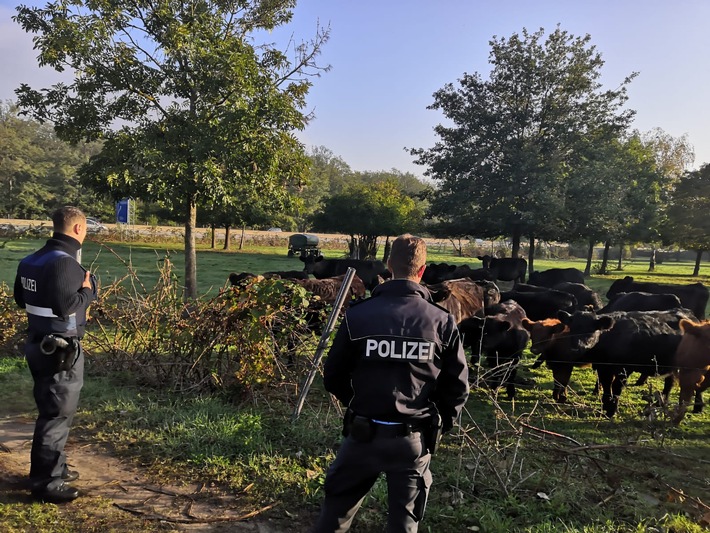 POL-PDNW: Polizeiautobahnstation Ruchheim - Polizei als Cowboys unterwegs