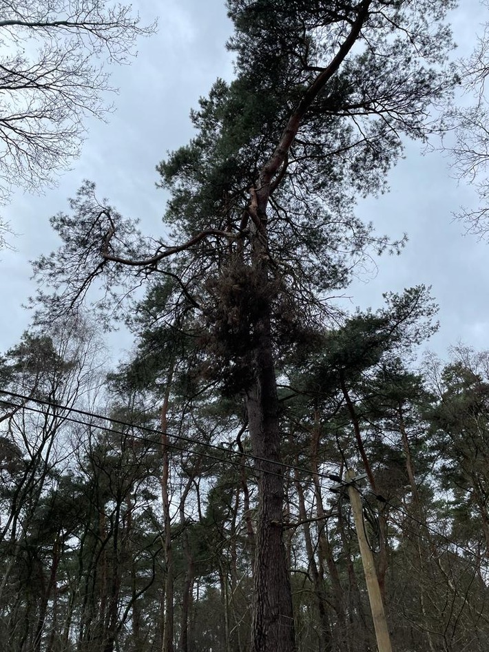 FW-Schermbeck: Sturmeinsatz Nr. 3