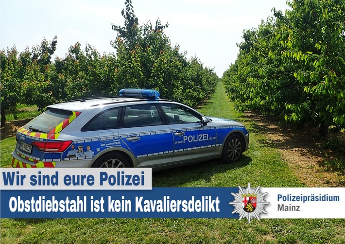 POL-PPMZ: Mainz-Drais - Obstdiebe auf frischer Tat ertappt