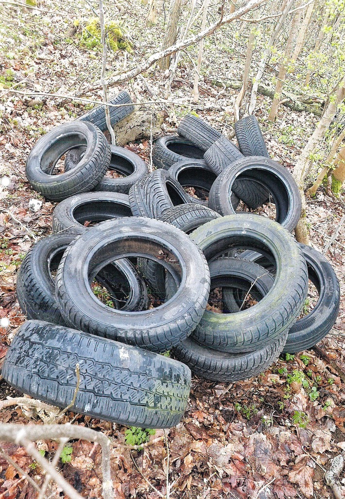 LPI-NDH: Reifen illegal im Wald entsorgt