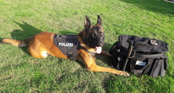 POL-DO: Einbruch in die Westfalenhallen - Diensthund Kasimir unterstützt bei Festnahme