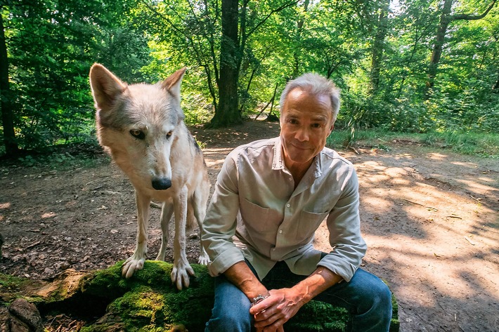 "Hannes Jaenicke: Im Einsatz für den Wolf" im ZDF