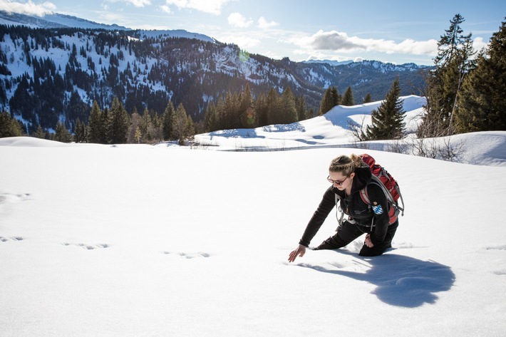 Das Allgäu im Winter - Tier-Begegnungen und das Wesentliche neu entdecken: das Zusammenspiel von Natur und Mensch