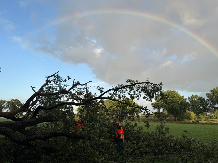FW-AUR: Straße von umgestürzten Baum freigeräumt