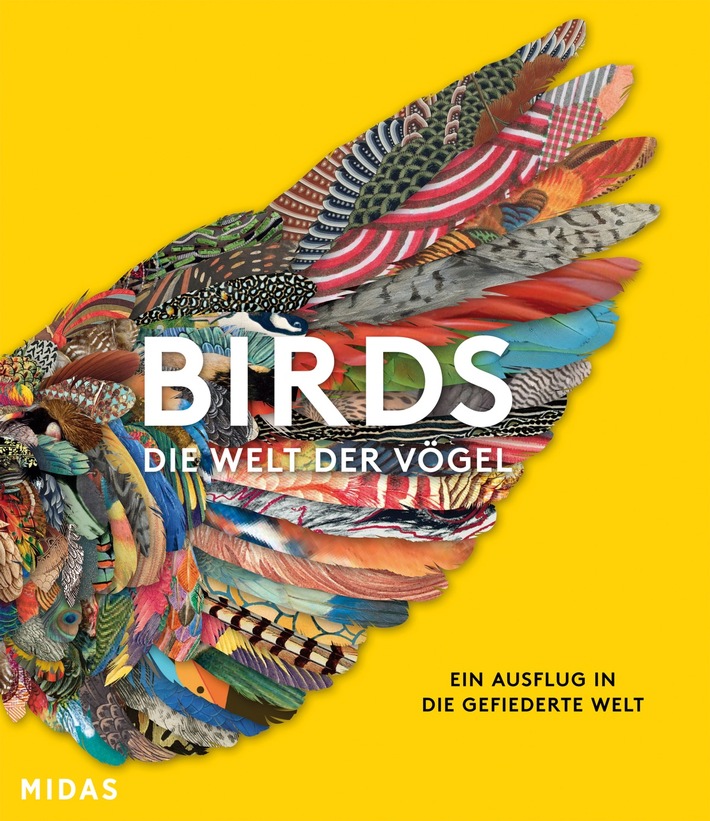 BIRDS – Die Welt der Vögel, Ein Ausflug in die gefiederte Welt, erscheint am 15. Mai 24 im Midas Verlag