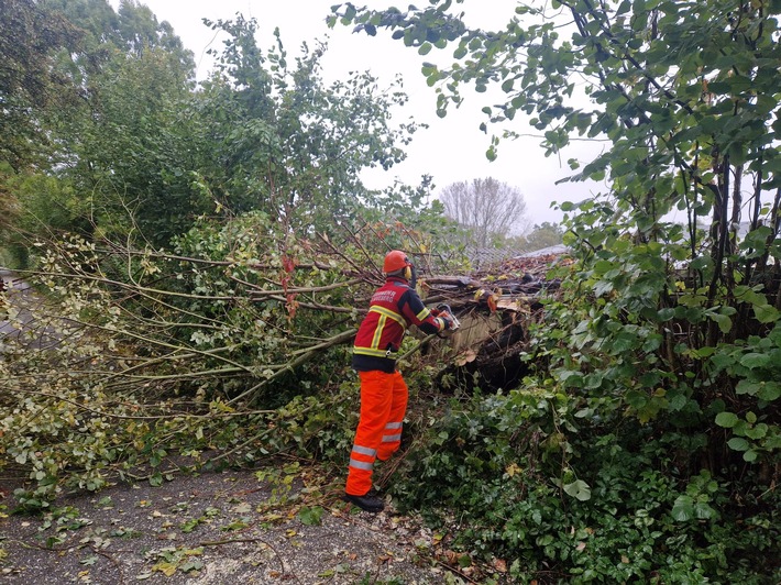 FW Bad Segeberg: Sturmlage verlief in Bad Segeberg glimpflich - 6 Einsätze