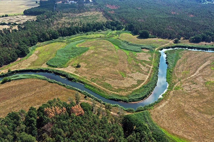 PM Naturschutzgroßprojekt Mittelelbe-Schwarze Elster startet in die Umsetzungsphase
