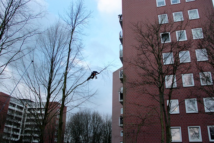 Stadtbäume in Not: ZDF-"planet e."-Doku über wachsenden Wohnungsbau und schwindenden Baumbestand (FOTO)