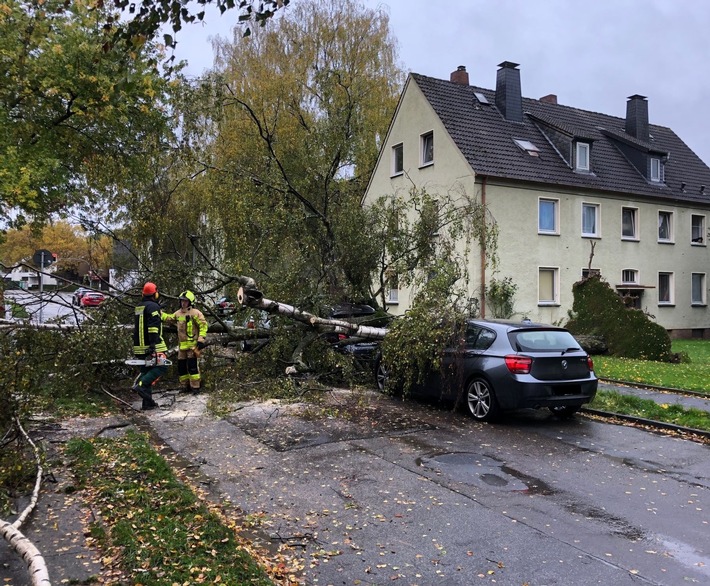 POL-MI: Sturm lässt Baum auf zwei Autos stürzen: Einsatzlage der Polizei aktuell überschaubar
